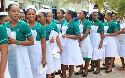 The Shocking Reality: Why Students Still Choose Unemployment